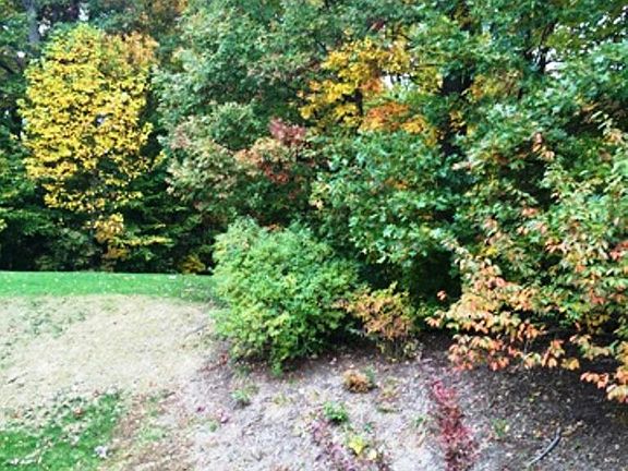4th image of 8303 Southern Oaks Ct