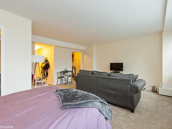 5th image of 1150 N Lake Shore Dr APT 5L