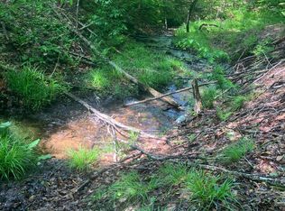 Dorman Rd NE, Kalkaska, MI 49646