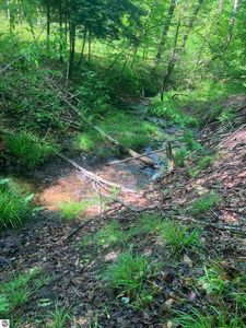 Dorman Rd NE, Kalkaska, MI, 49646