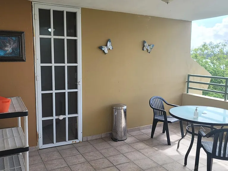 203 Avenida Laguna #1231 — Photo 11