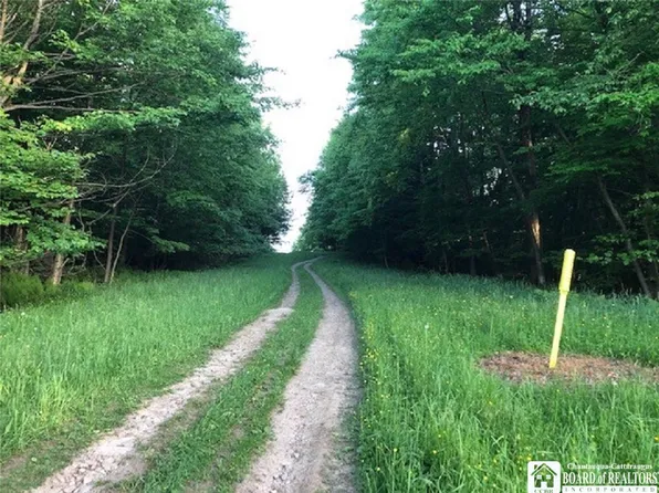 0 Nys Rte #16-S, Olean, NY 14760