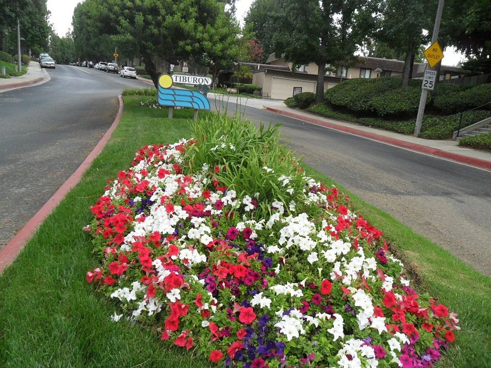 For Sale: 774 Teakwood Ln, San Dimas, California 91773