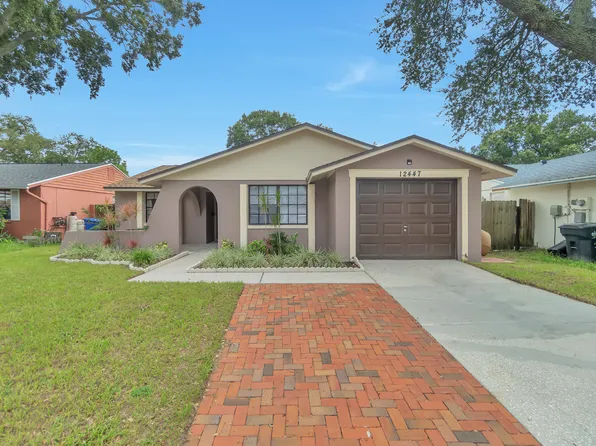 12447 Mondragon Dr, Tampa, FL 33625