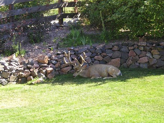 Sleepy neighbors sometimes visit!