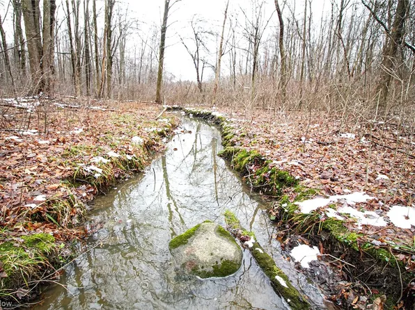 7361 State Route 303, Windham, OH 44288