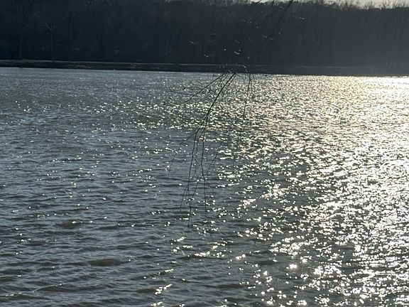 3rd image of 425 Hardin Bottom Rd Lot 146