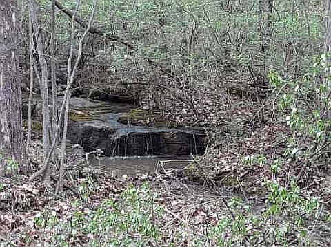 2nd image of 1 Walnut Grove Dr