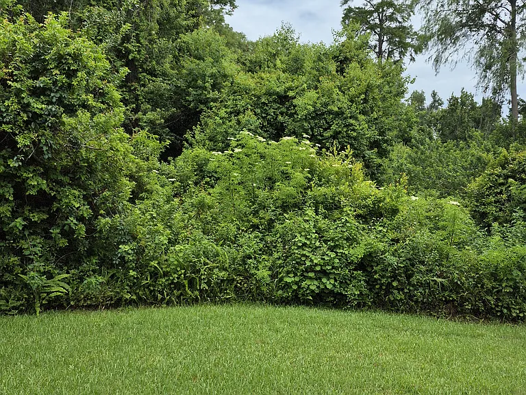 Walton Cir — Photo 14