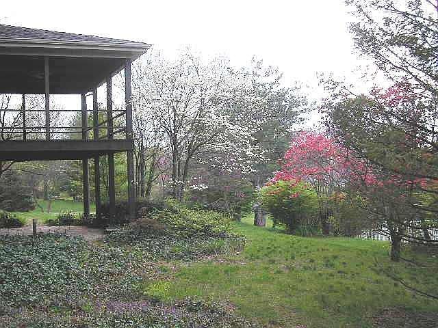 2nd image of 12537 Alswell Ln