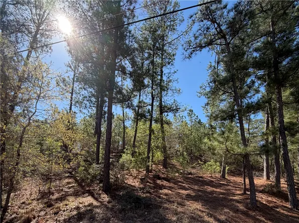 Mamalu Dr, Bastrop, TX 78602