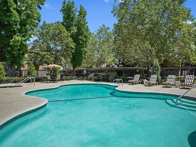 Sparkling Swimming Pool!