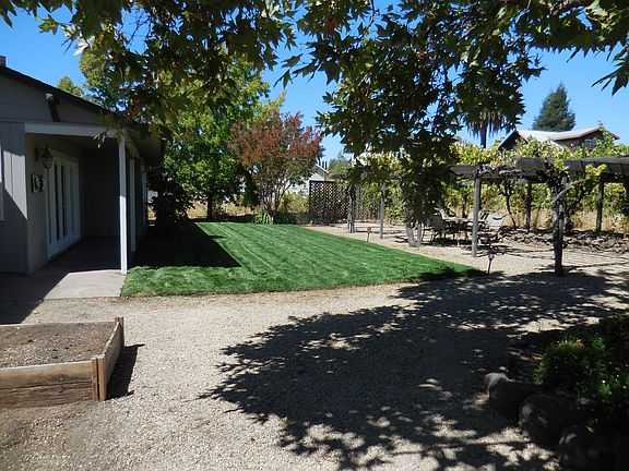 Backyard with terraced dining grape arbor