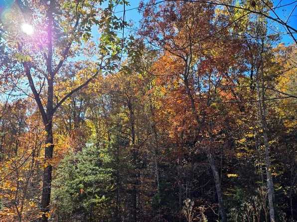 62 Green Cove Spur, Murphy, NC 28906