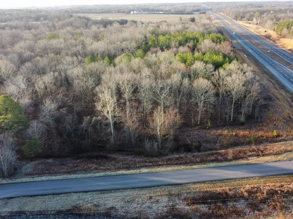Palestine Church Rd, Dexter, KY 42036