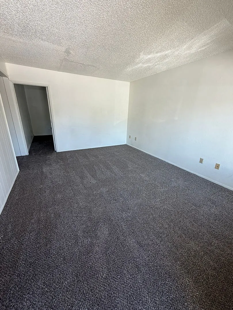 Newly Renovated 2 Bedroom, 1 Bathroom Triplex - South Suburbs — Photo 1