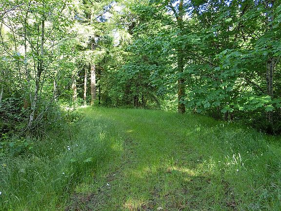 5th image of 375 N Goble Creek Rd