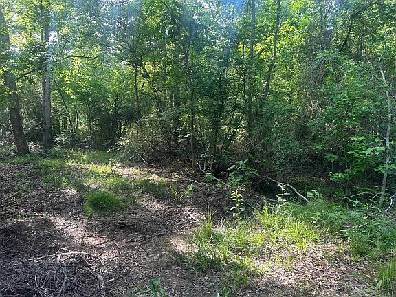 4th image of 1075 Lee Island Rd