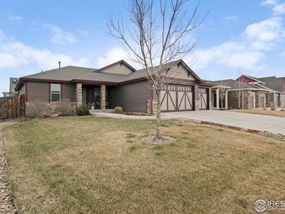 4226 White Deer Ln, Wellington, CO, 80549