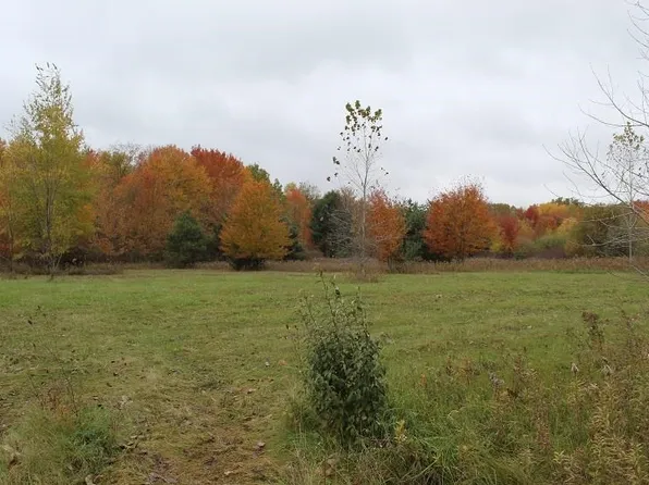 12113 N Linden Rd, Clio, MI 48420