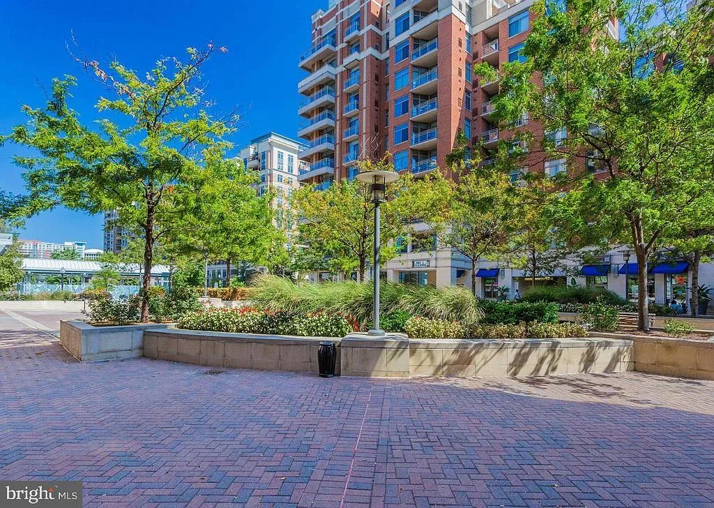 2 bed, 2.0 bath, 1164 sqft, $3,600 — Photo 1