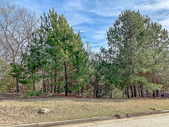 2nd image of 4887 Basingstoke Dr Lot 0