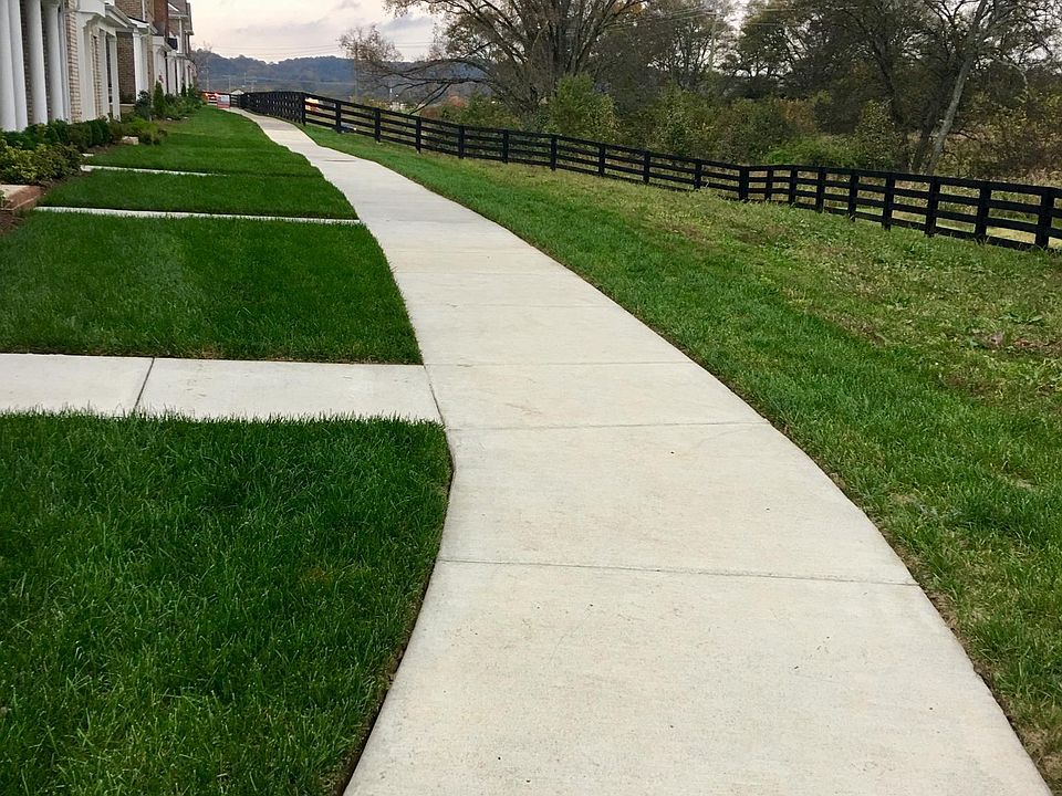 Picture In the front yard. All yardwork And landscaping is t