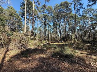 LOT 4 Private Road 8573, Winnsboro, TX 75494