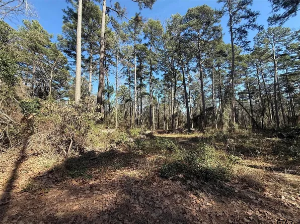 LOT 4 Private Road 8573, Winnsboro, TX 75494