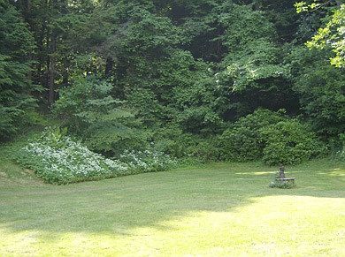 2nd image of 41 Masterson Rd