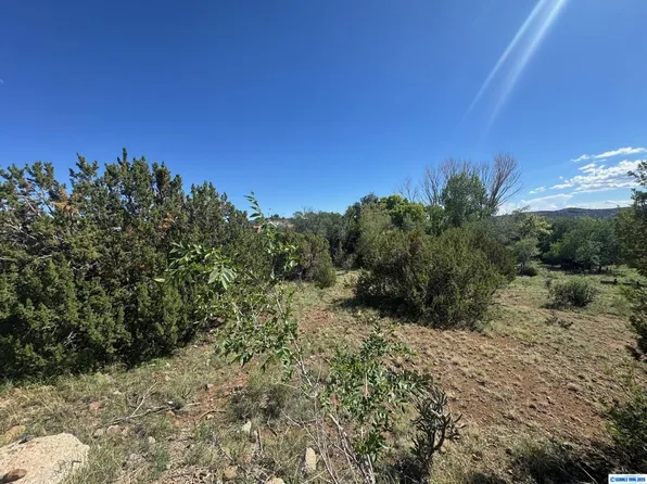 2255 Pinos Altos Rd, Silver City, NM 88061
