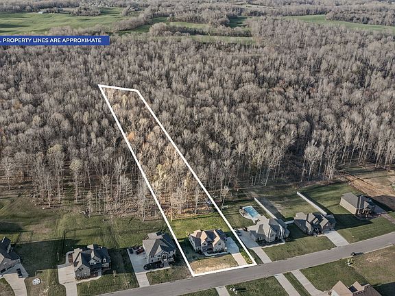 4th image of 1131 Reda Dr
