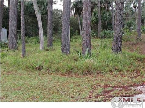 2nd image of 2176 Indian Pass Rd