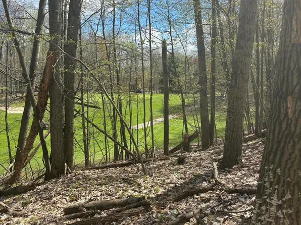 9700 Pere Marquette Dr, Stanwood, MI 49346