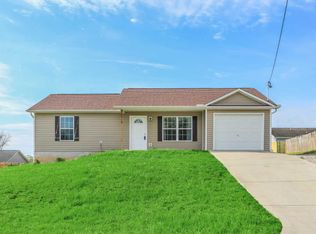 8918 John David Dr, Mascot, TN 37806