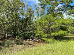 SW 93rd St #9, Dunnellon, FL 34432