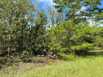 SW 93rd St #9, Dunnellon, FL, 34432