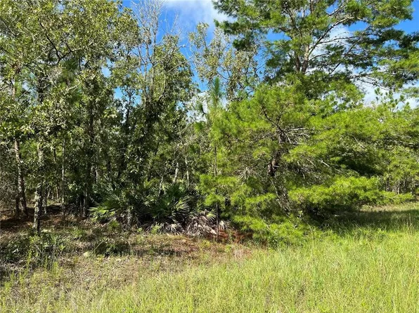 SW 93rd St #9, Dunnellon, FL 34432