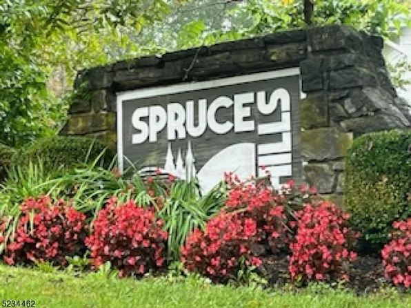506 Spruce Hills Dr, Glen Gardner Boro, NJ 08826