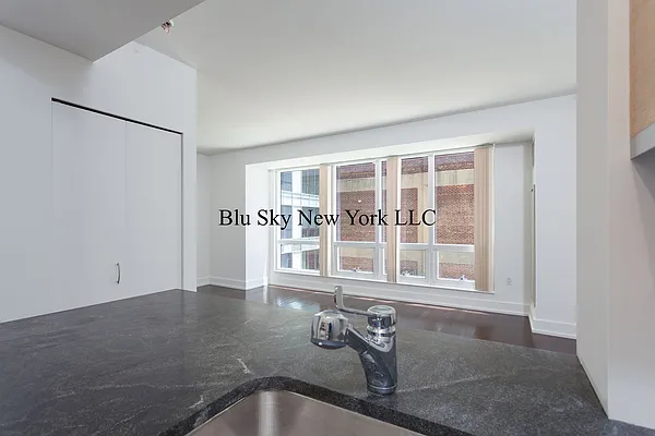 Rented by Blu Sky New York LLC | media 22