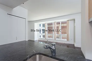 Rented by Blu Sky New York LLC
