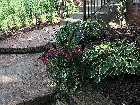 Front Walkway