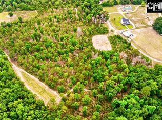 0 Eugene Neese Ln, Swansea, SC 29160
