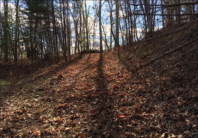 2nd image of LOTS 255 & 256 Norris Shores Big Ridge Pt