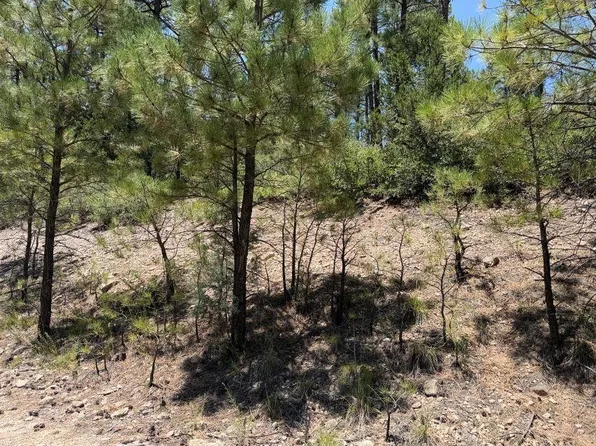 Uranus Dr, Timberon, NM 88350
