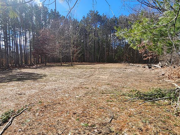 2nd image of 8 Mile Rd