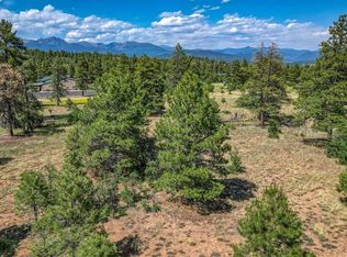 1343B Wheeler Place, Pagosa Springs, CO 81147