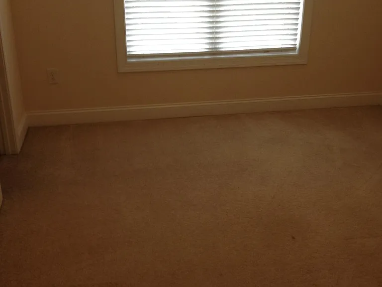 3797 Creek Ridge Dr — Photo 8
