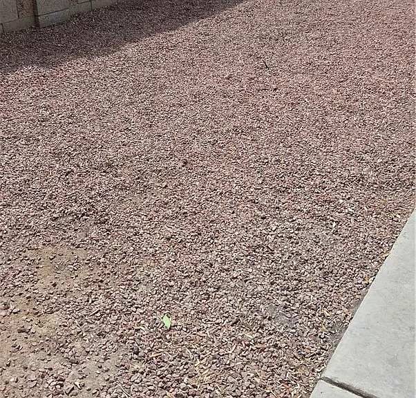 571 Roxella Ln #C — Photo 2