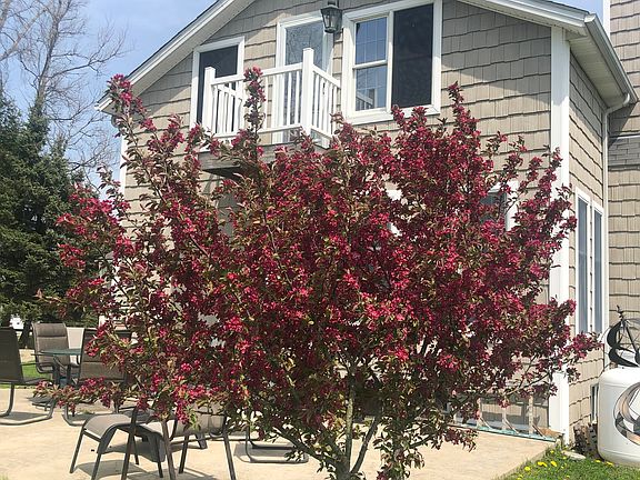Smaller House Rental
Patio Area